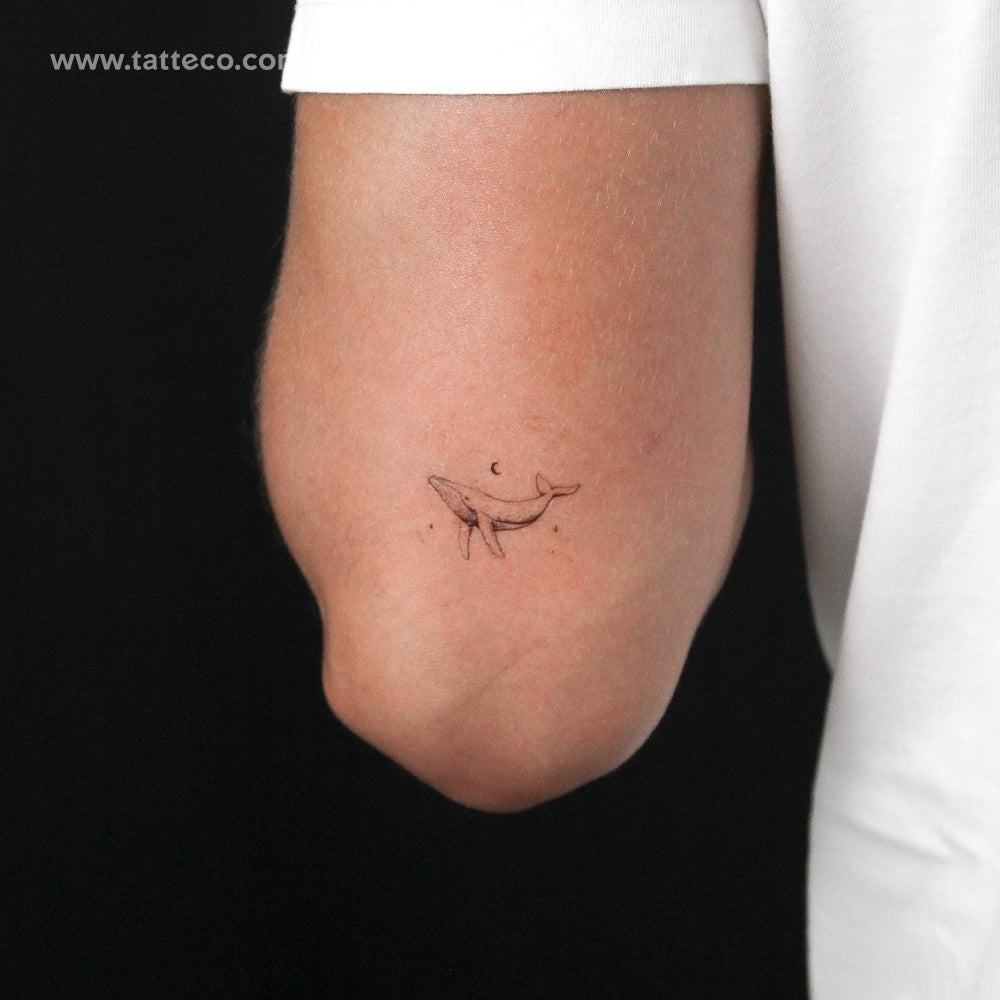 Whale By Stefano Mazza Temporary Tattoo - Set of 3