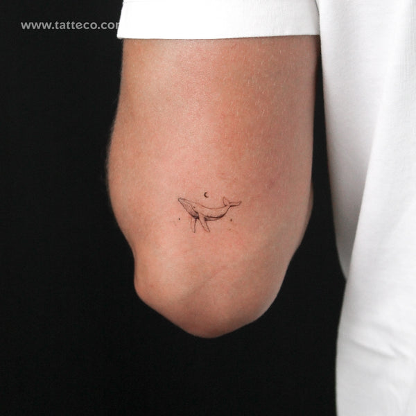 Whale By Stefano Mazza Temporary Tattoo - Set of 3