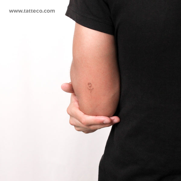 Rose By Stefano Mazza Temporary Tattoo - Set of 3