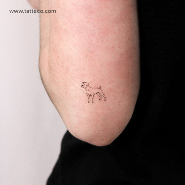Boxer Dog Temporary Tattoo - Set of 3