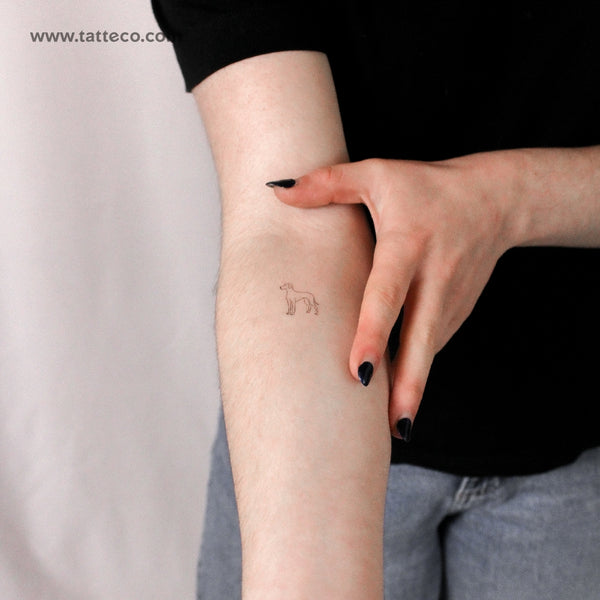 Great Dane Temporary Tattoo - Set of 3