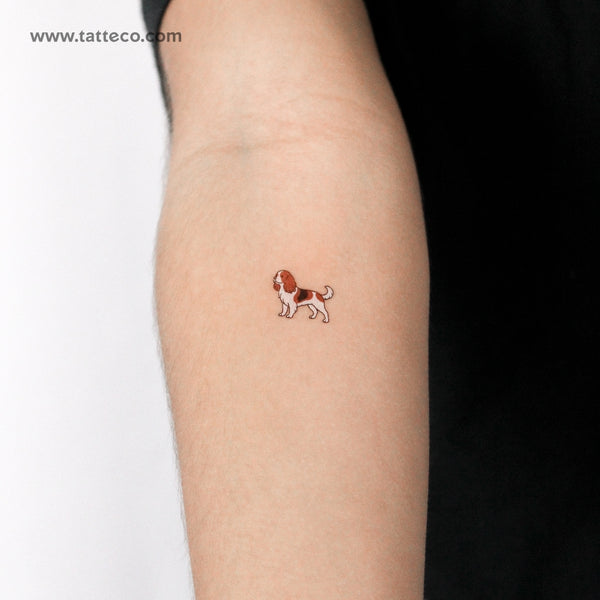 Cavalier King Charles Spaniel Temporary Tattoo - Set of 3