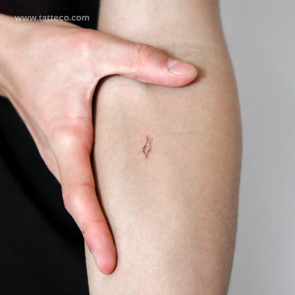 Tulip Shell By Stefano Mazza Temporary Tattoo - Set of 3