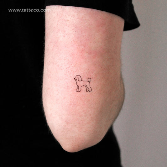 Little Poodle Temporary Tattoo - Set of 3