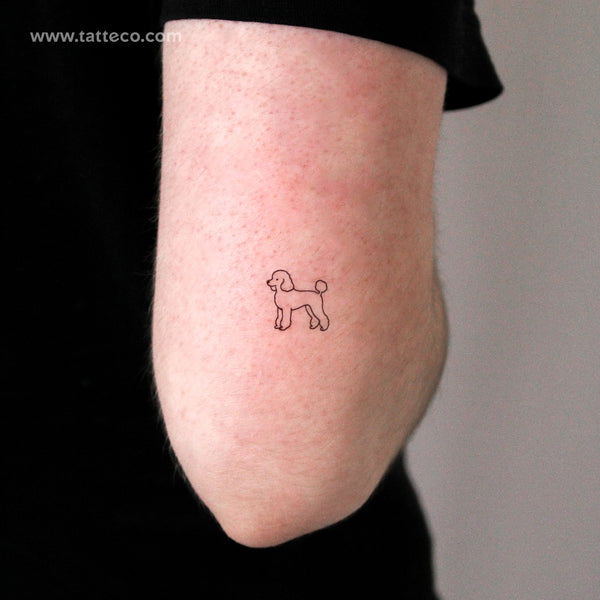 Little Poodle Temporary Tattoo - Set of 3