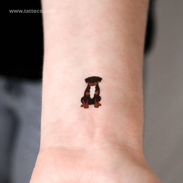 Rottweiler Temporary Tattoo - Set of 3