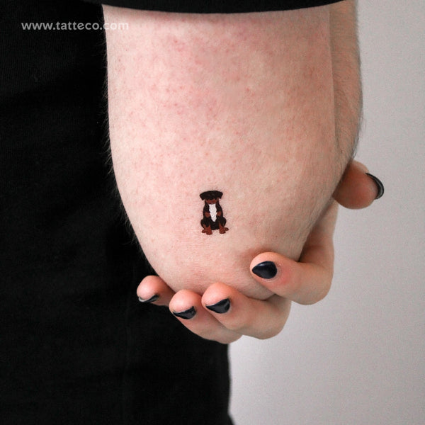 Rottweiler Temporary Tattoo - Set of 3