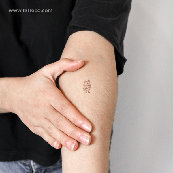 Fine Line Collie Temporary Tattoo - Set of 3
