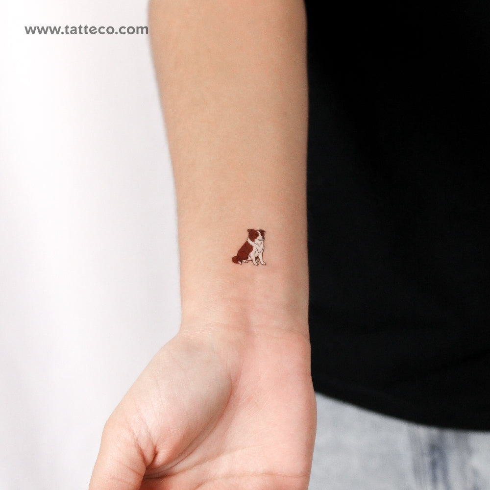 Chocolate Border Collie Temporary Tattoo - Set of 3