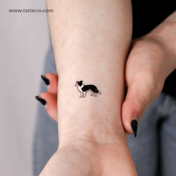 Black And White Border Collie Temporary Tattoo - Set of 3
