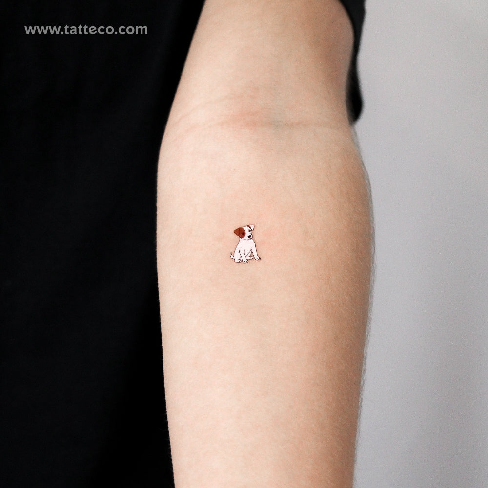 Jack Russell Temporary Tattoo - Set of 3