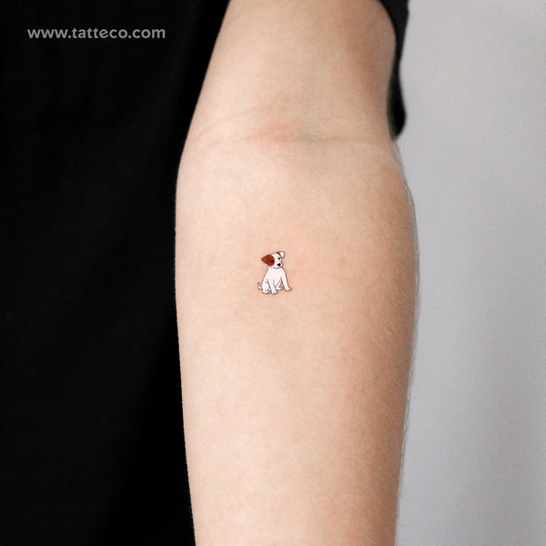 Jack Russell Temporary Tattoo - Set of 3
