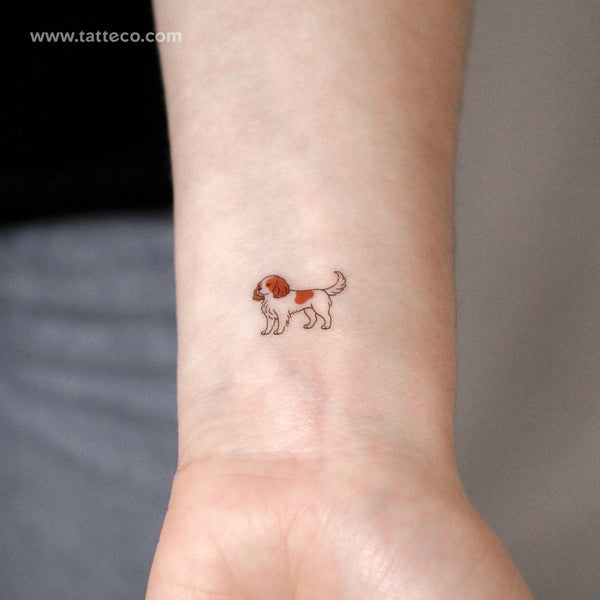 Blenheim Cavalier King Charles Spaniel Temporary Tattoo - Set of 3