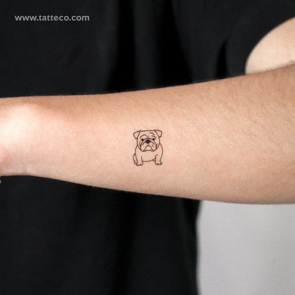 Bulldog Temporary Tattoo - Set of 3