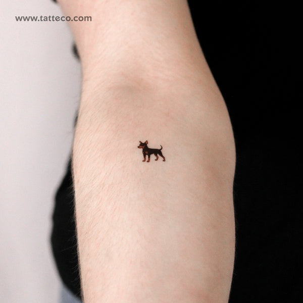 Pinscher Temporary Tattoo - Set of 3