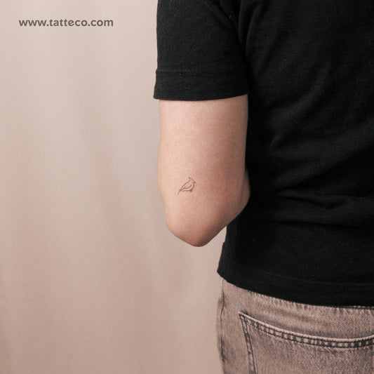Tatuaje semipermanente de cardenal - Juego de 2