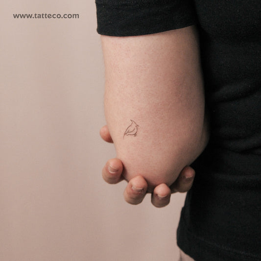 Tatuaje semipermanente de cardenal - Juego de 2