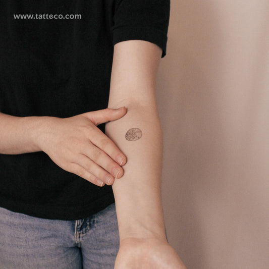 Sand Dollar Semi-Permanent Tattoo - Set of 2