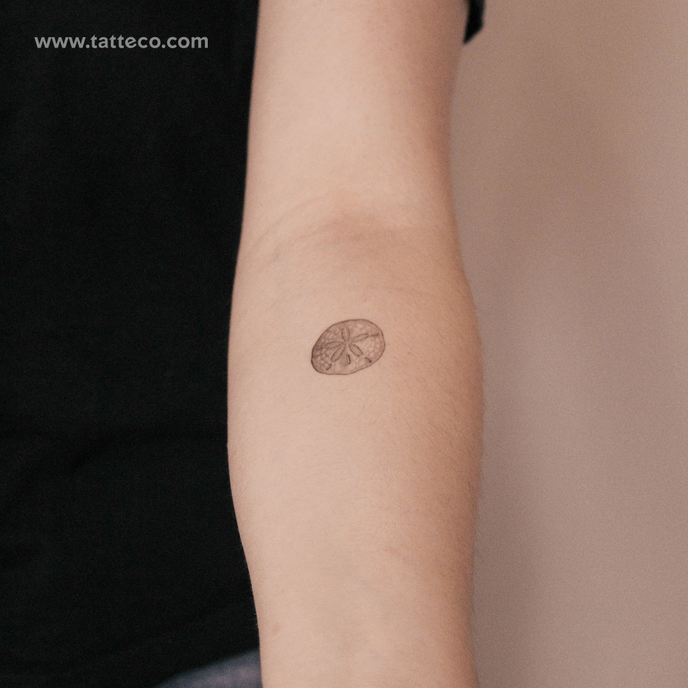 Sand Dollar Semi-Permanent Tattoo - Set of 2