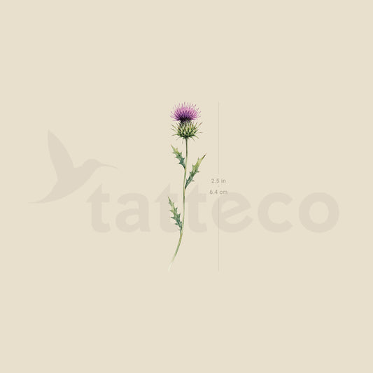 Watercolor Thistle Temporary Tattoo - Set of 3