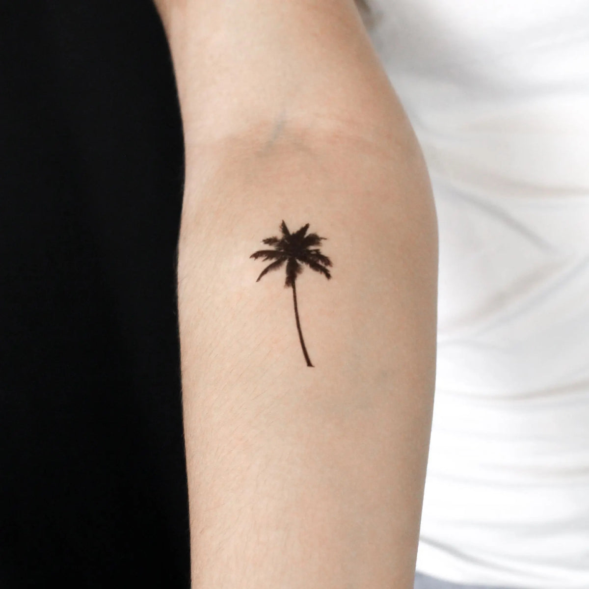 Tatuaje semipermanente de palmera - Juego de 2