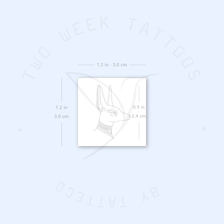 Tatuaje semipermanente de Anubis - Juego de 2