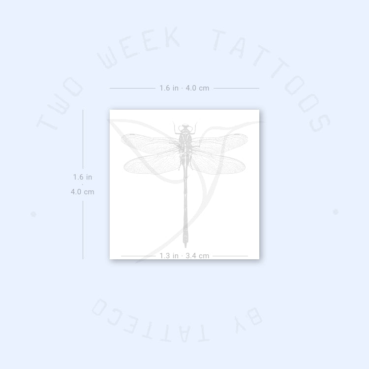 Illustrative Dragonfly Semi-Permanent Tattoo - Set of 2