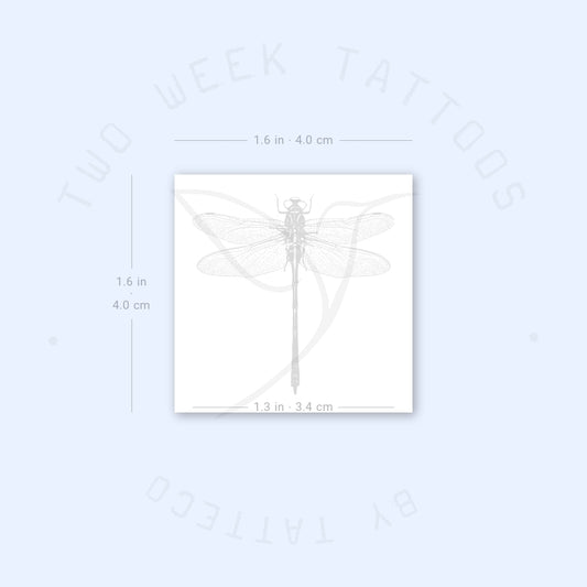 Illustrative Dragonfly Semi-Permanent Tattoo - Set of 2