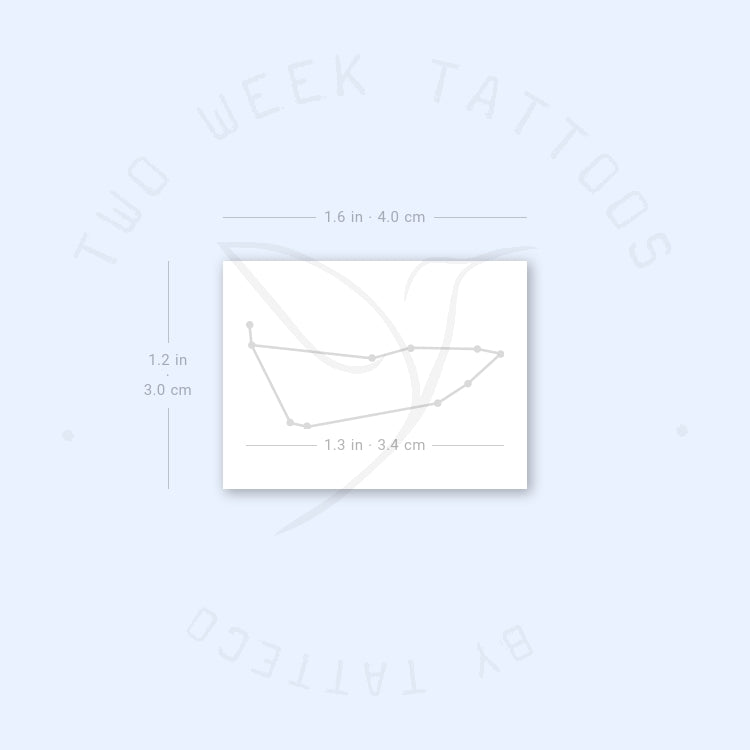 Small Capricornus Constellation Semi-Permanent Tattoo - Set of 2