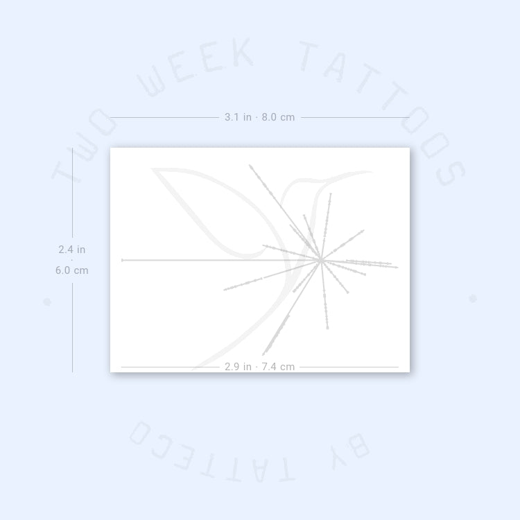 Pioneer Plaque Semi-Permanent Tattoo - Set of 2