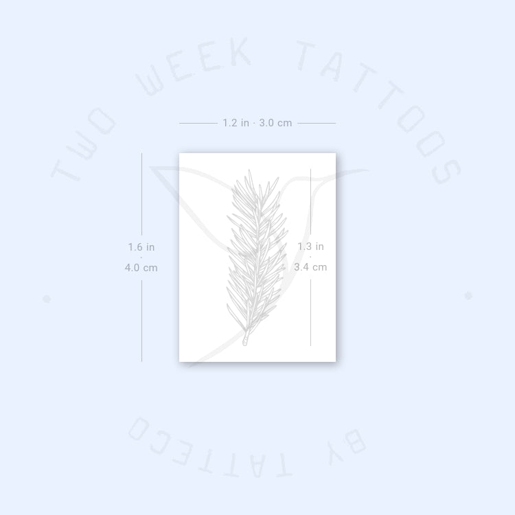Rosemary Semi-Permanent Tattoo - Set of 2