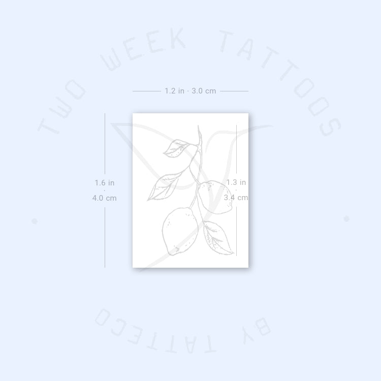 Lemon Branch Semi-Permanent Tattoo - Set of 2