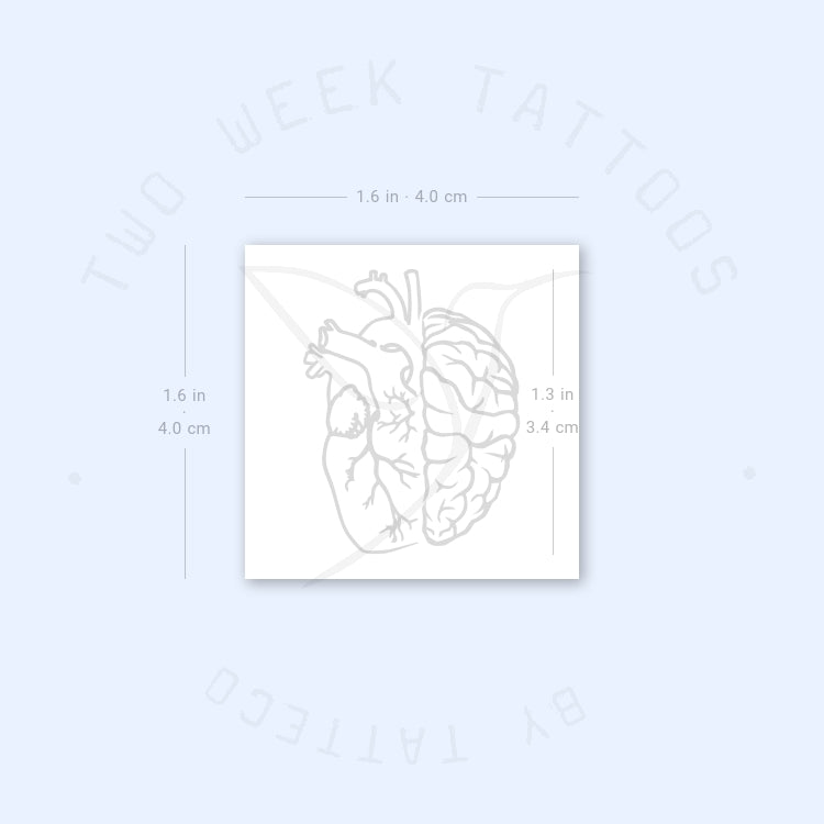 Brain And Heart Semi-Permanent Tattoo - Set of 2