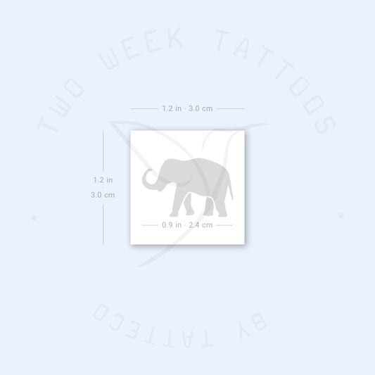 Tatuaje semipermanente de elefante de la suerte (juego de 2)