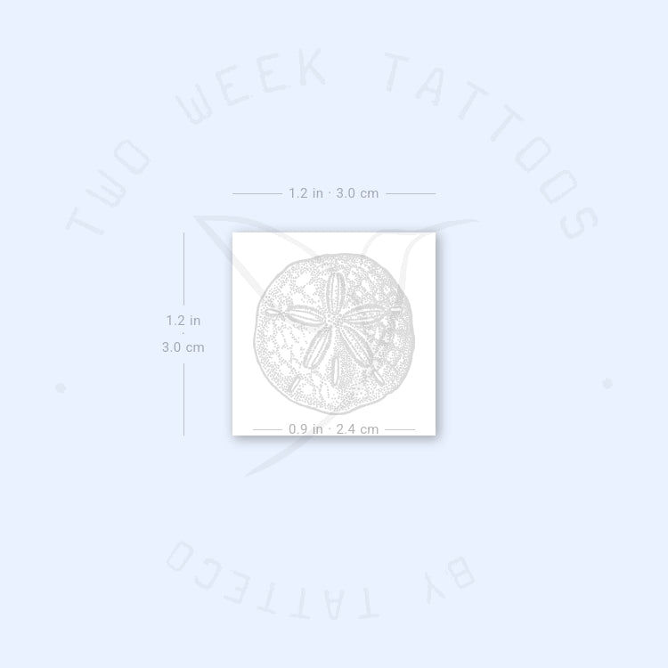 Sand Dollar Semi-Permanent Tattoo - Set of 2