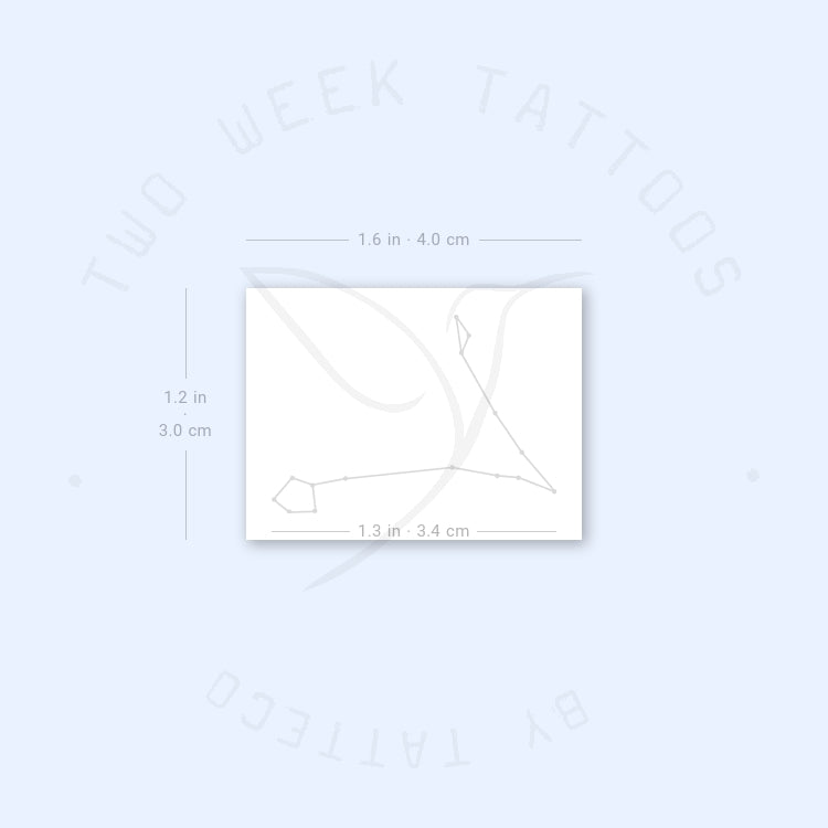 Small Pisces Constellation Semi-Permanent Tattoo - Set of 2