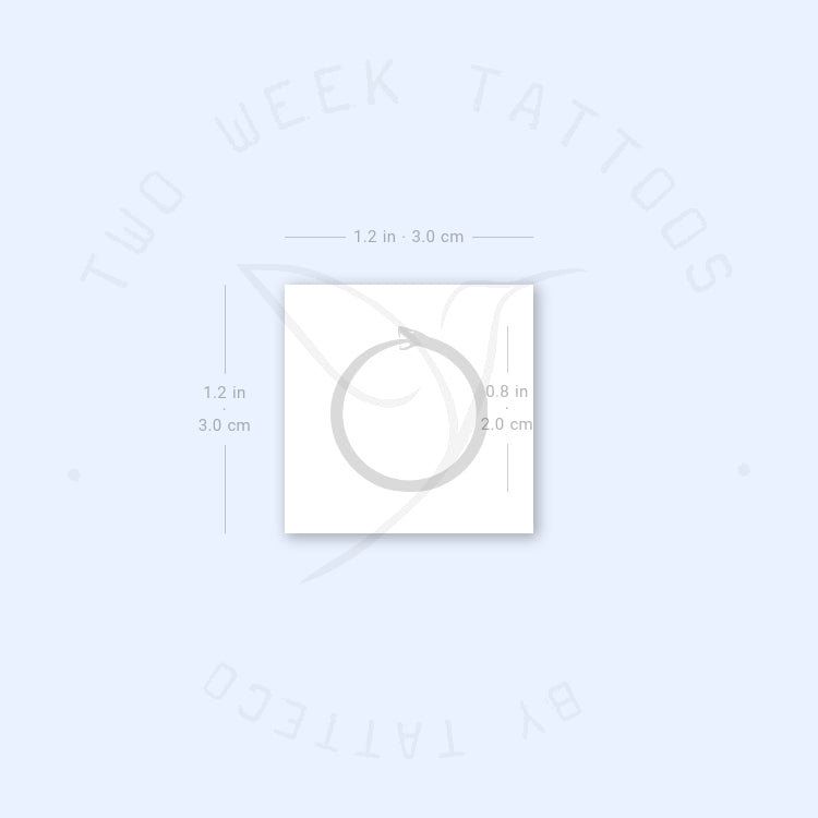 Minimalist Ouroboros Semi-Permanent Tattoo - Set of 2