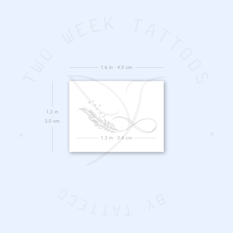 Tatuaje semipermanente de pluma con símbolo de infinito (juego de 2)