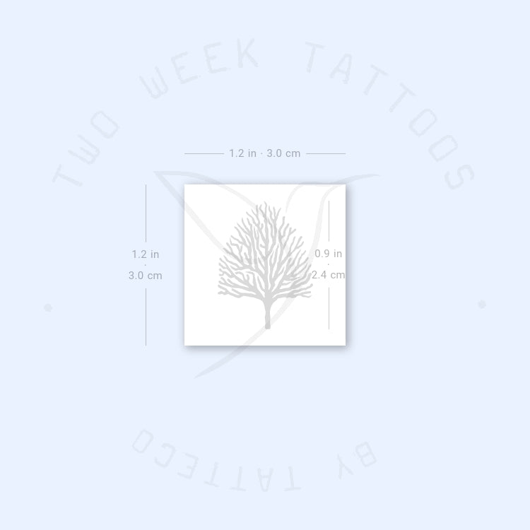 Small Leafless Tree Semi-Permanent Tattoo - Set of 2
