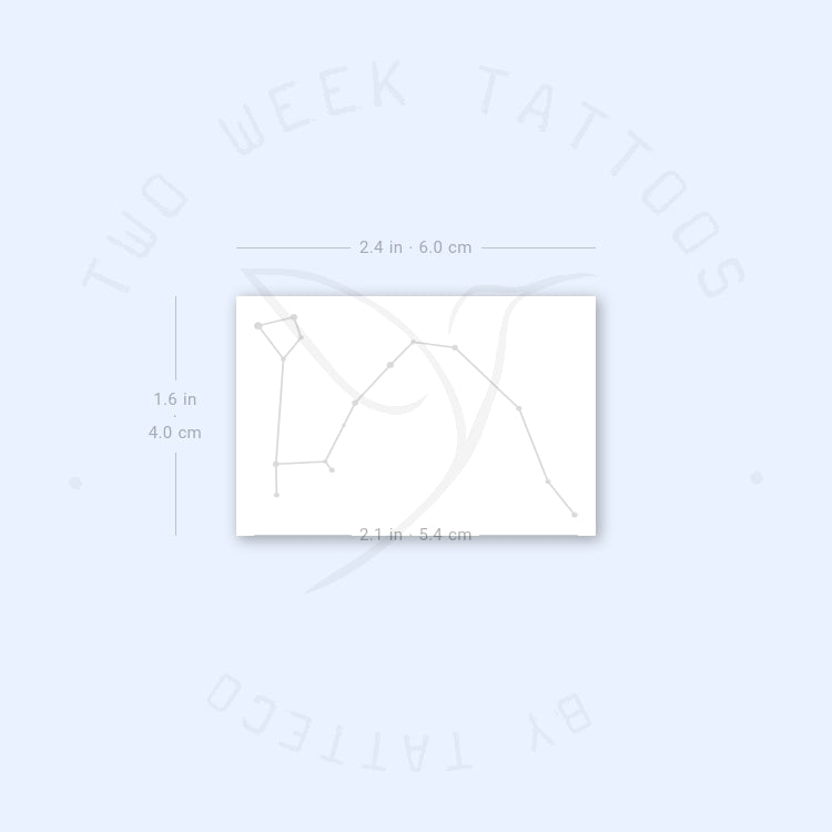 Draco Semi-Permanent Tattoo - Set of 2
