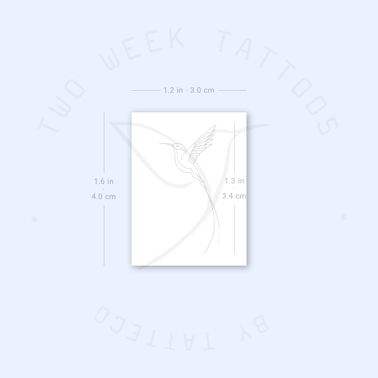 Small Long-tailed Sylph Hummingbird Semi-Permanent Tattoo - Set of 2