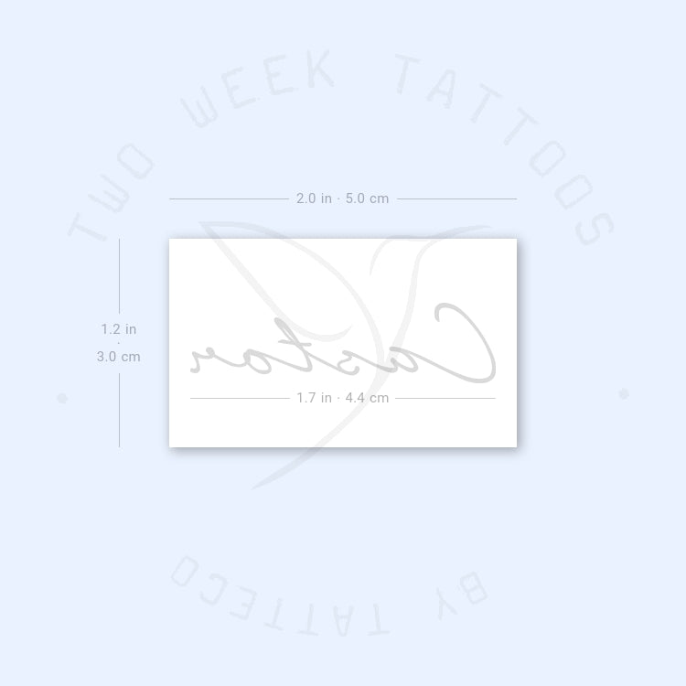 Castor Semi-Permanent Tattoo - Set of 2