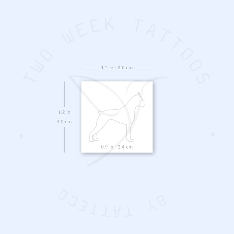 Boxer Semi-Permanent Tattoo - Set of 2