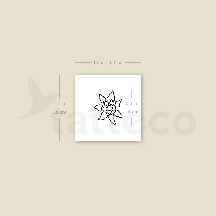 Edelweiss Outline Temporary Tattoo - Set of 3