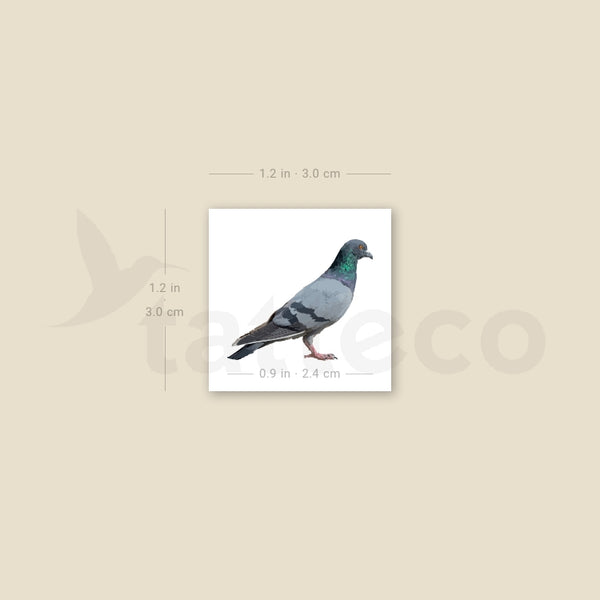 Rock Dove Temporary Tattoo - Set of 3