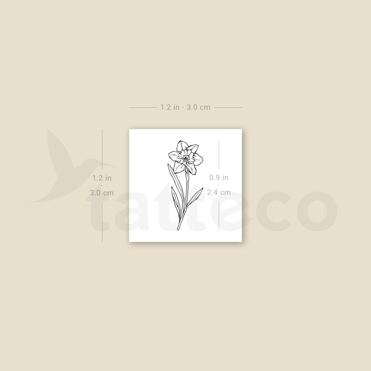 Narcissus Temporary Tattoo - Set of 3