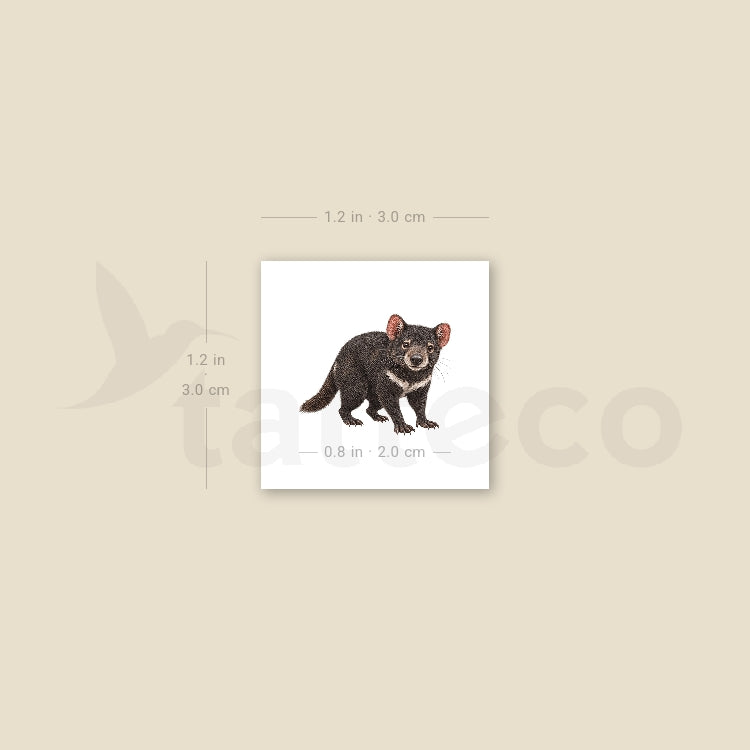 Tasmanian Devil Temporary Tattoo - Set of 3