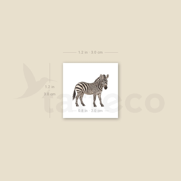 Watercolor Zebra Temporary Tattoo - Set of 3
