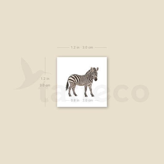 Watercolor Zebra Temporary Tattoo - Set of 3