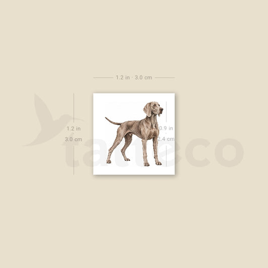 Weimaraner Temporary Tattoo - Set of 3